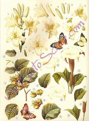 10 m-taches rayures Woodland mariage Bunting carreaux tissu feuilles d/'automne