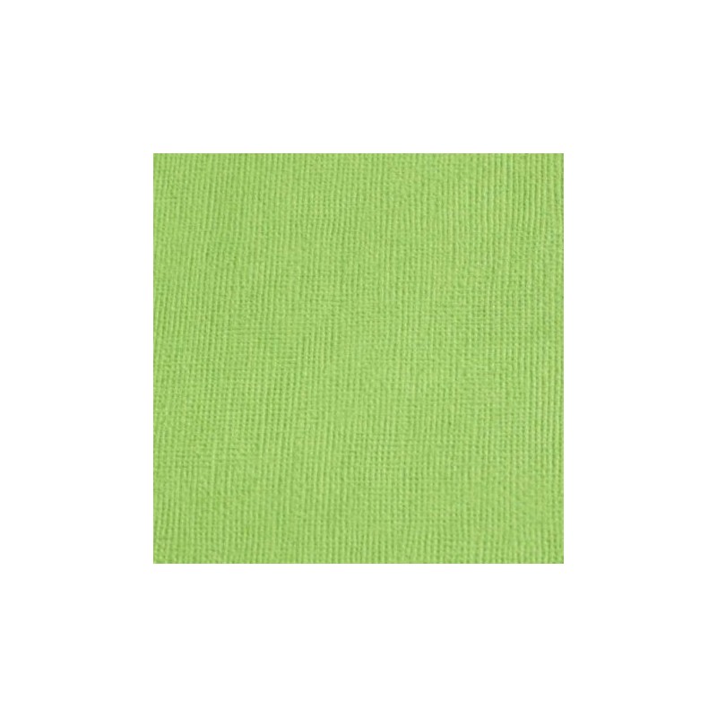 Cardstock texturé canvas - Coloris Vert