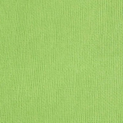 Cardstock texturé canvas - Coloris Vert