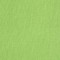 Cardstock texturé canvas - Coloris Vert