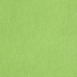 Cardstock texturé canvas - Coloris Vert