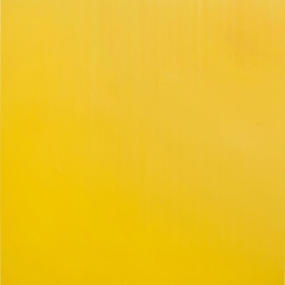 Feuille de gaufrage en plastique Bazzill - Buttercup