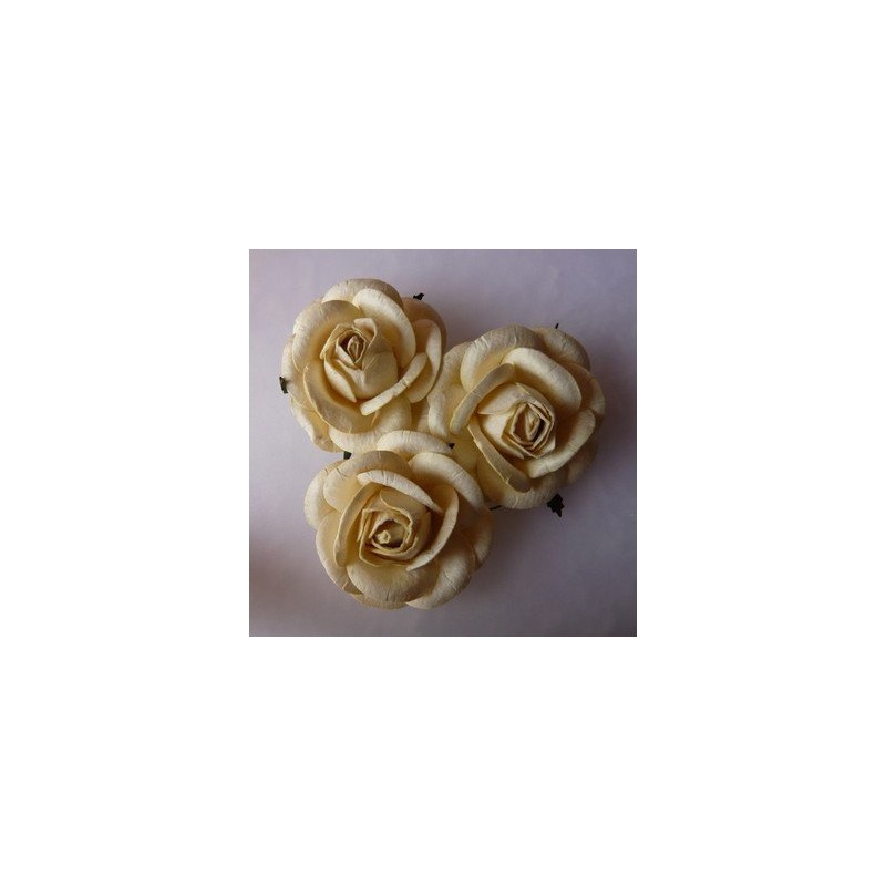 Fleurs Roses 45 mm - Crèmes (10 pièces)