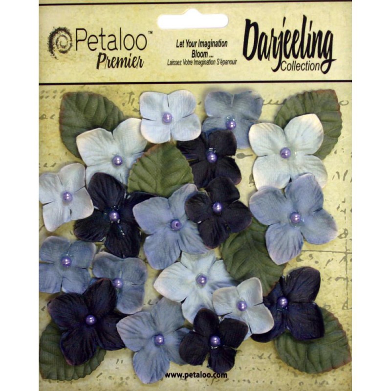 Fleurs Darjeeling Hydrangeas - Bleues