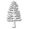 Die Poppystamps - Grand Pine Tree