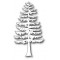 Die Poppystamps - Grand Pine Tree