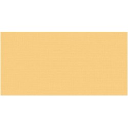 Cardstock AC - Honey