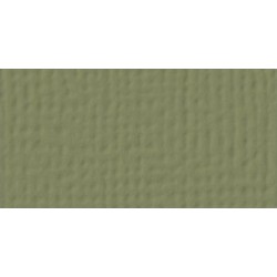 Cardstock AC - Olive