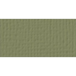 Cardstock AC - Olive