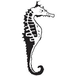 Pochoir de gaufrage KaiserCraft - Sea Horse