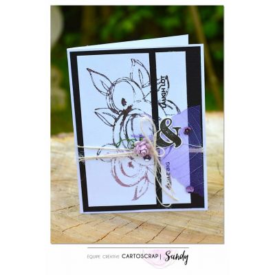 Tampons CartoScrap - La Vie en Roses