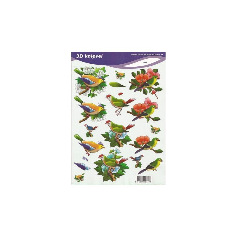 Image Carterie 3D - Oiseaux exotiques & Branches fleuries