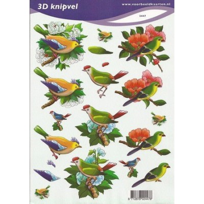 Image Carterie 3D - Oiseaux exotiques & Branches fleuries