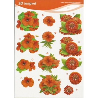 Image Carterie 3D - Dahlia & Fleurs rouges