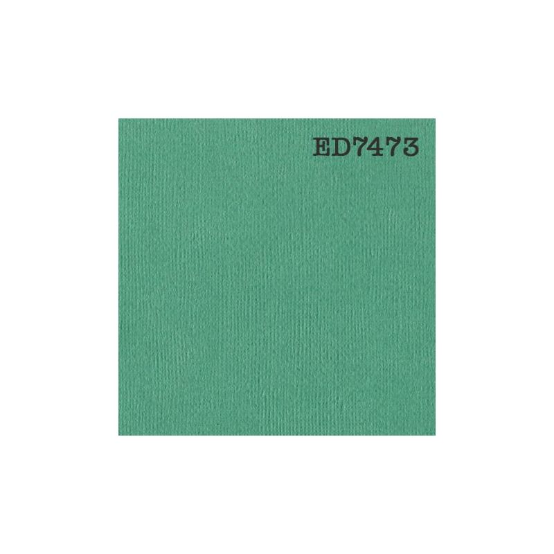 Cardstock texturé canvas - Coloris vert prasin