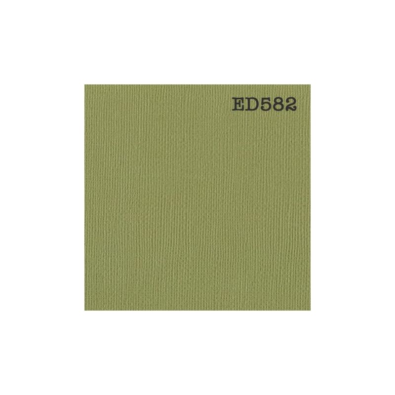 Cardstock texturé canvas - Coloris vert kiwi