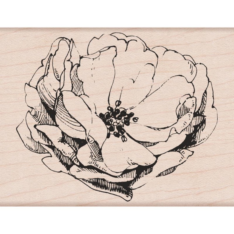 Tampon bois Hero Arts - Antique Rose