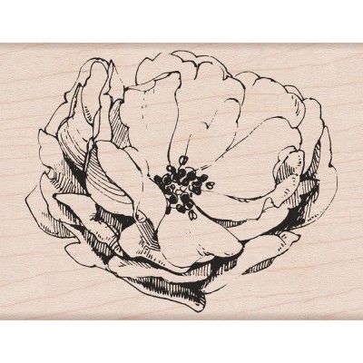 Tampon bois Hero Arts - Antique Rose
