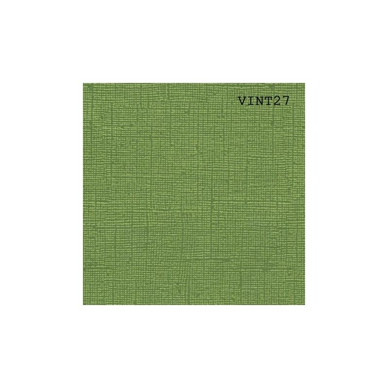 Cardstock texturé canvas - Coloris Vintage Vert Avocat