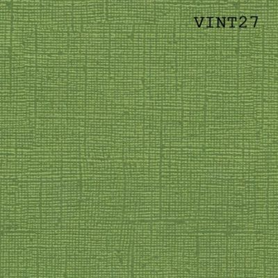 Cardstock texturé canvas - Coloris Vintage Vert Avocat