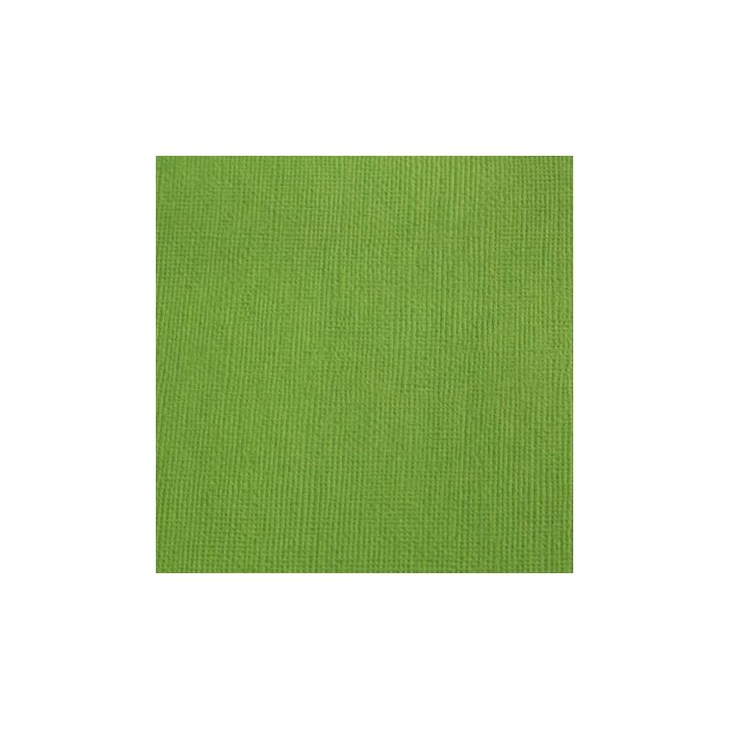 Cardstock texturé canvas - Coloris Vert Mousse