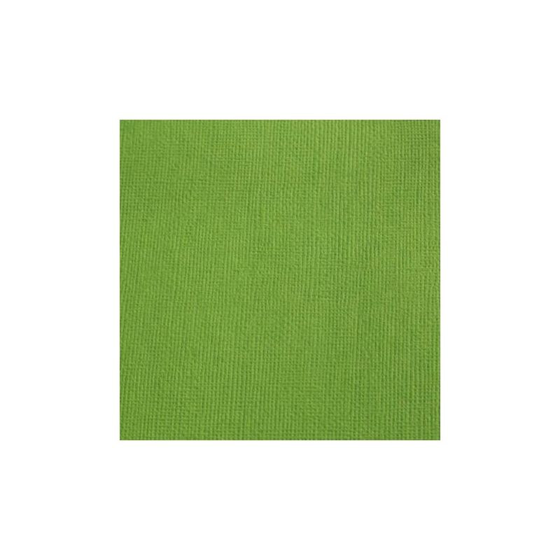 Cardstock texturé canvas - Coloris Vert Mousse