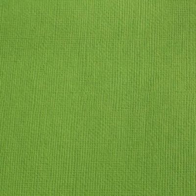 Cardstock texturé canvas - Coloris Vert Mousse