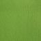 Cardstock texturé canvas - Coloris Vert Mousse