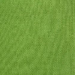 Cardstock texturé canvas - Coloris Vert Mousse