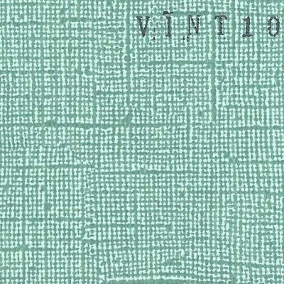 Cardstock texturé canvas - Coloris Vintage Bleu Vert