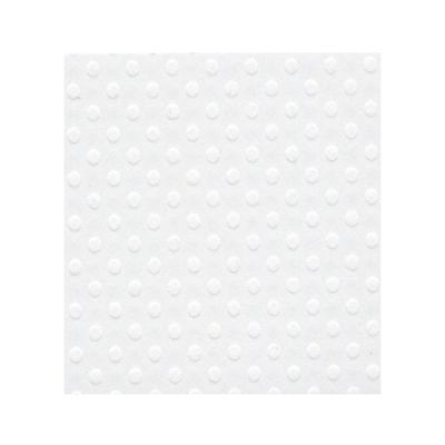 Bazzill A4 Salt - Texture Swiss Dot