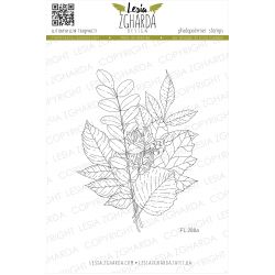 Tampons transparent Lesia Zgharda - Fall Bouquet with Berries (small)