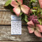 Tampons transparents Chou & Flowers - Fond trefles