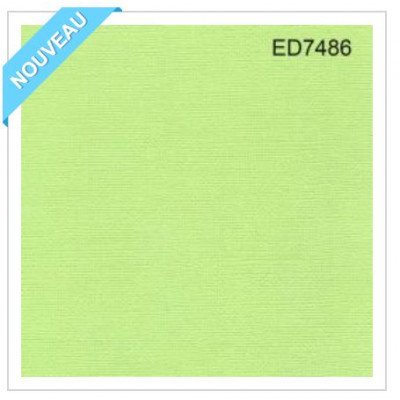 Cardstock - Coloris vert lime