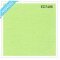 Cardstock - Coloris vert lime