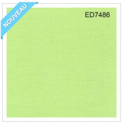 Cardstock - Coloris vert lime