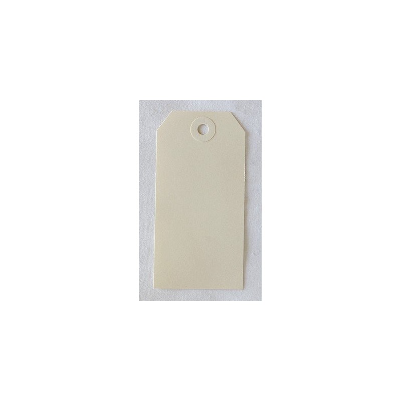 Etiquettes américaines 5x10 cm - Beige - Oeillet beige (10)