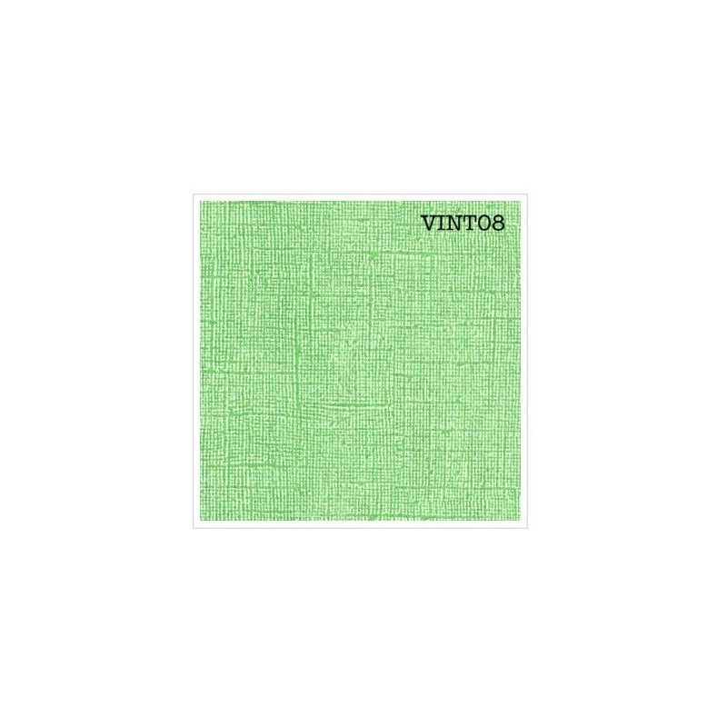 Cardstock texturé canvas - Coloris Vintage Vert printemps