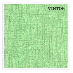 Cardstock texturé canvas - Coloris Vintage Vert printemps