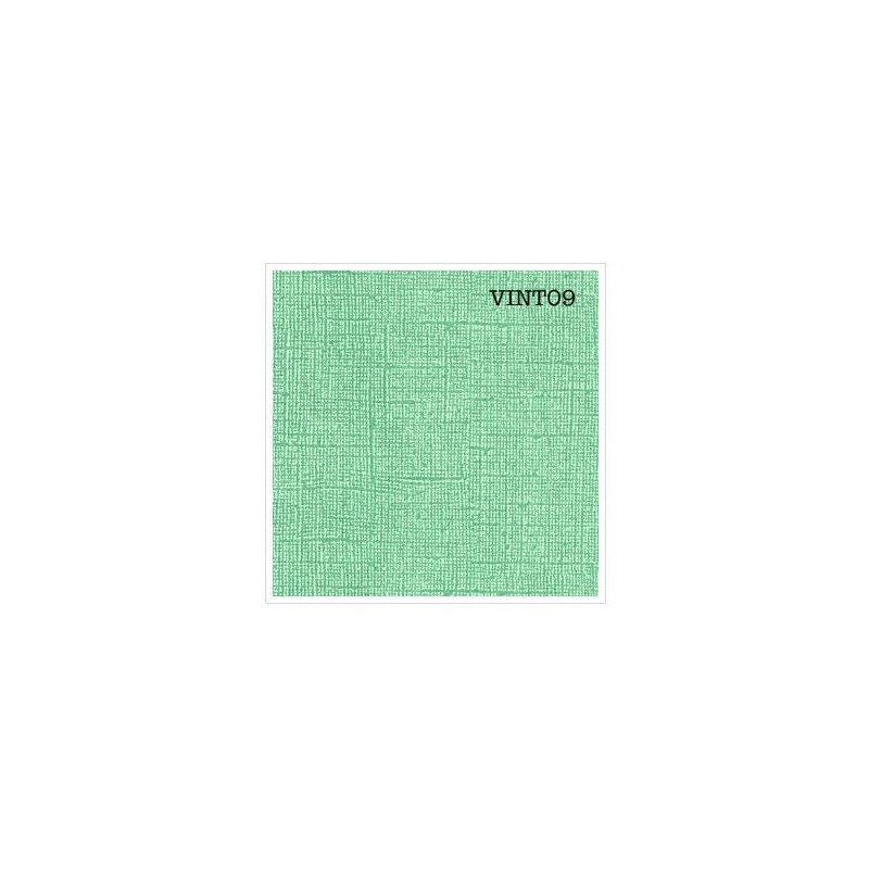 Cardstock texturé canvas - Coloris Vintage vert menthe