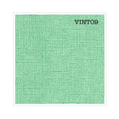 Cardstock texturé canvas - Coloris Vintage vert menthe