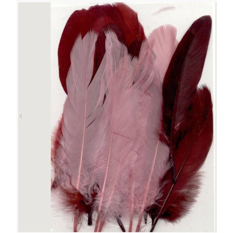 Plumes d'oie - 15 grandes plumes - Tons rouge rose