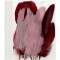 Plumes d'oie - 5 plumes - Tons rouge rose