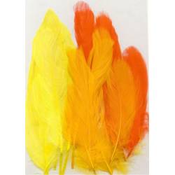 Plumes d'oie - 15 grandes plumes - Tons jaune orange