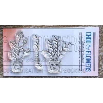 Tampons Clear - Chou & Flowers - Home - Pot de fleurs