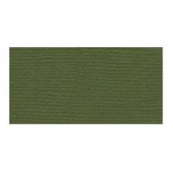 Bazzill Fourz12 Vert Grasscloth - Texture Canvas
