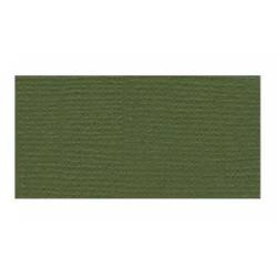 Bazzill Fourz12 Vert Grasscloth - Texture Canvas