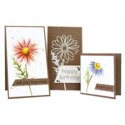 Tampons Clear Modascrap - Daisy