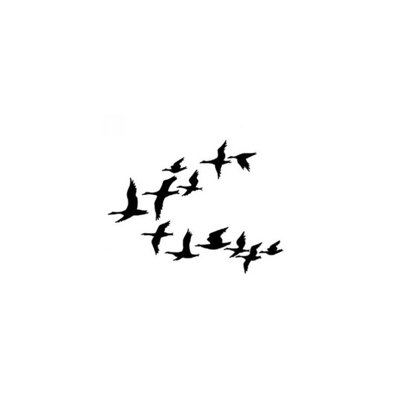 Tampon Clear - Lavinia - Canards - Ducks