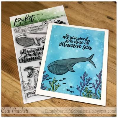 Tampons - Picket Fence - A Dose of Vitamin Sea